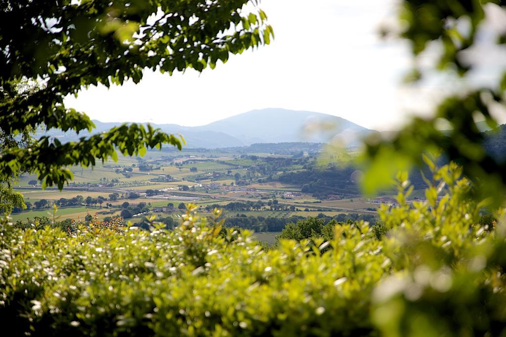 Agriturismo Le Colombe Assisi Exterior photo